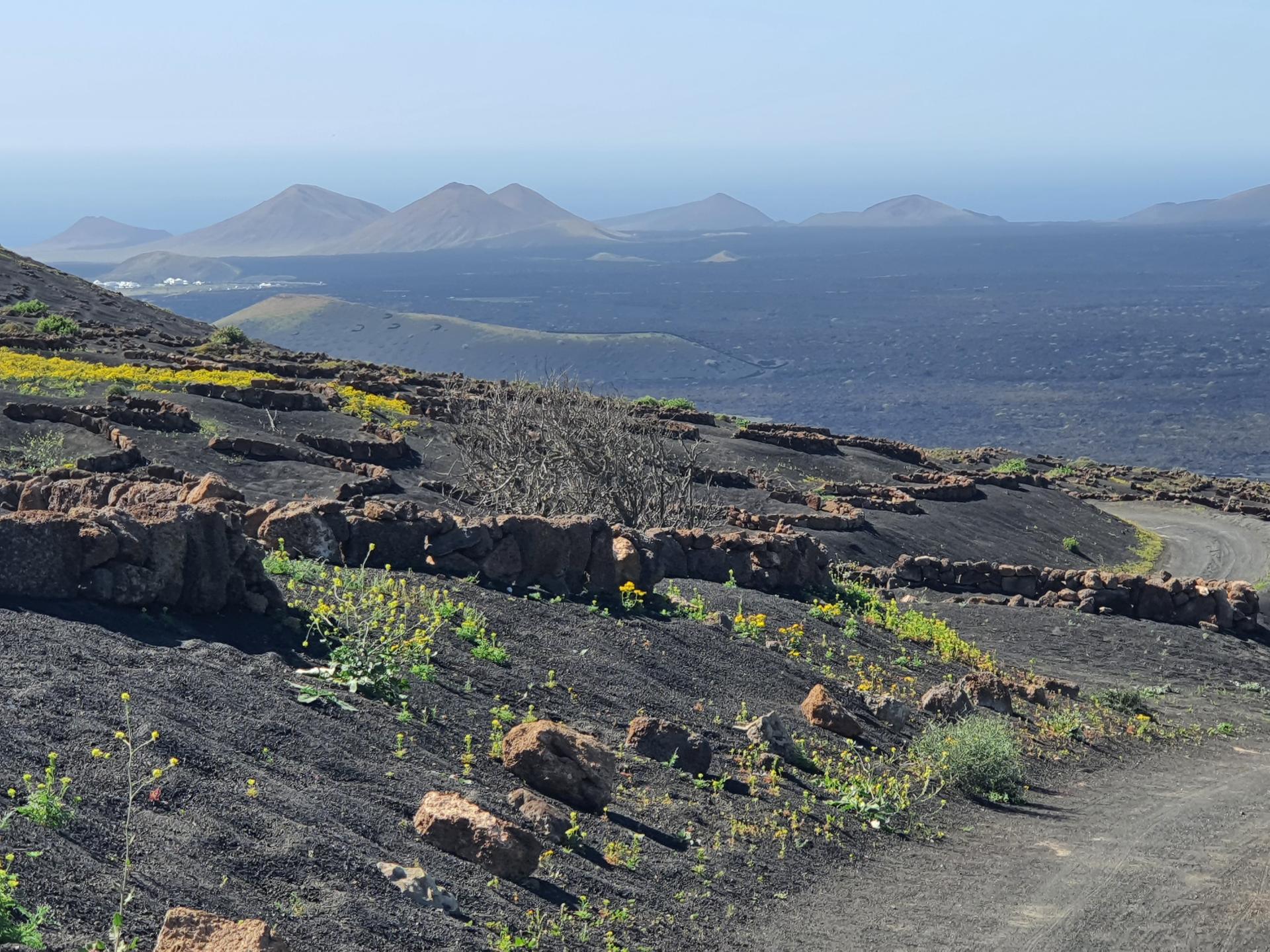 Lanzarote centre : Timanfaya