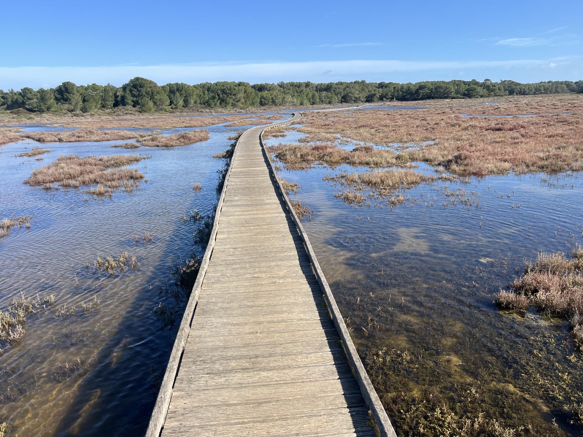 Escapade à Sète depuis Vic-la-Gardiole