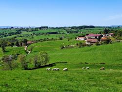 Vue sur le village de Villers au loin à gauche