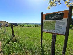 Sentier du Bois Grandjean