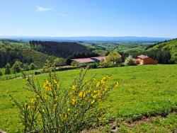Vue sur le Roannais, la plaine de la Loire et les Monts de la Madeleine