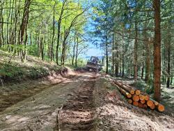 Engin forestier dans le Bois Grandjean