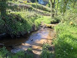 Ruisseau, franchissement à gué ou sur pont en dalle en pierre