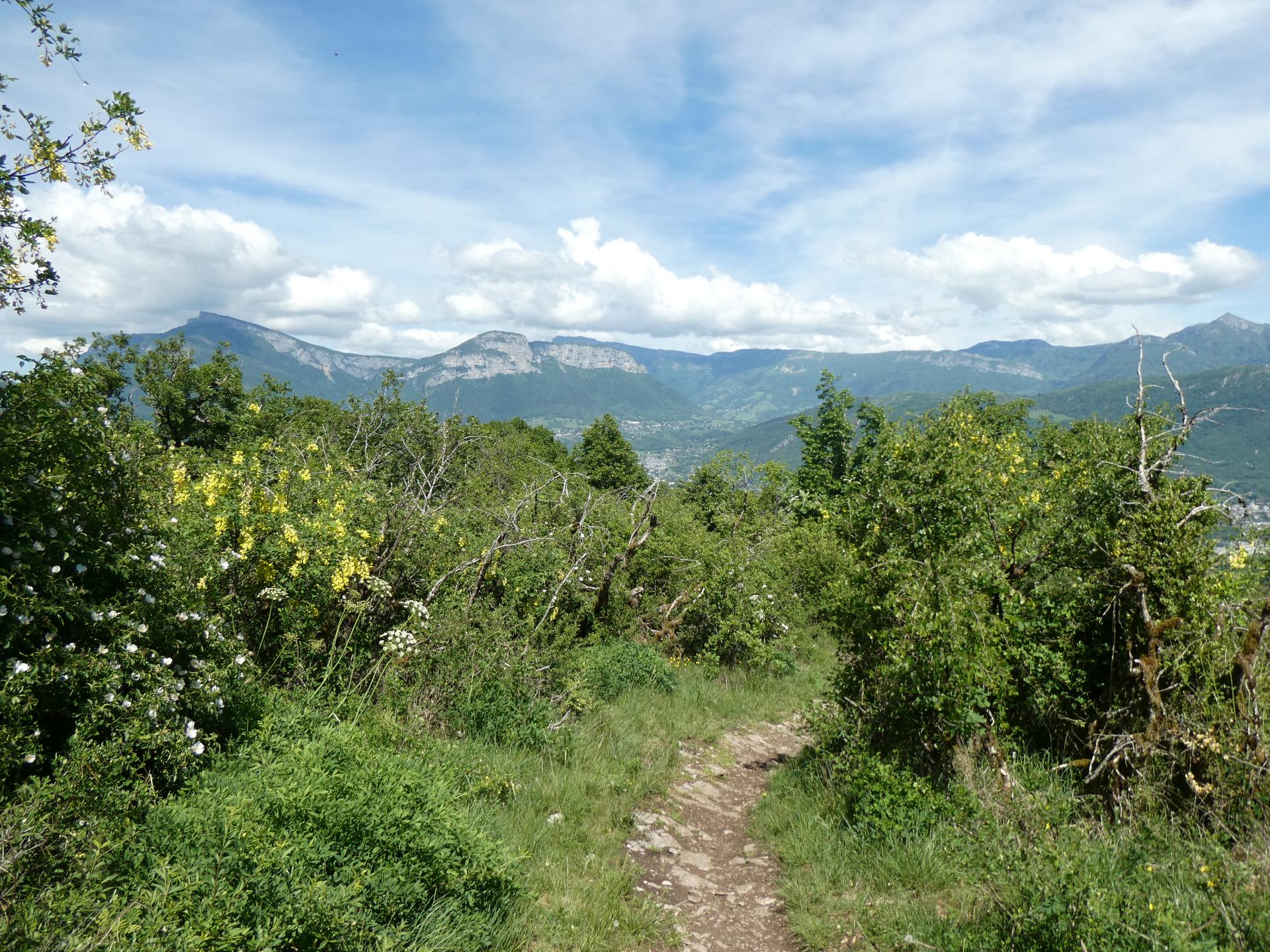 Photo circuit VTT