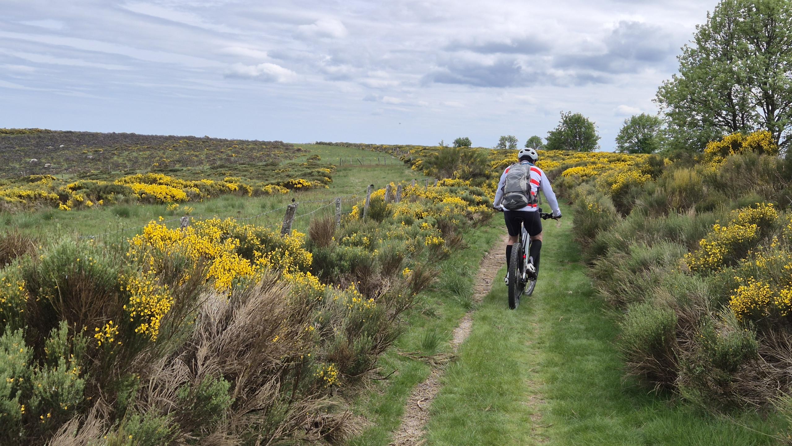 Photo circuit VTT