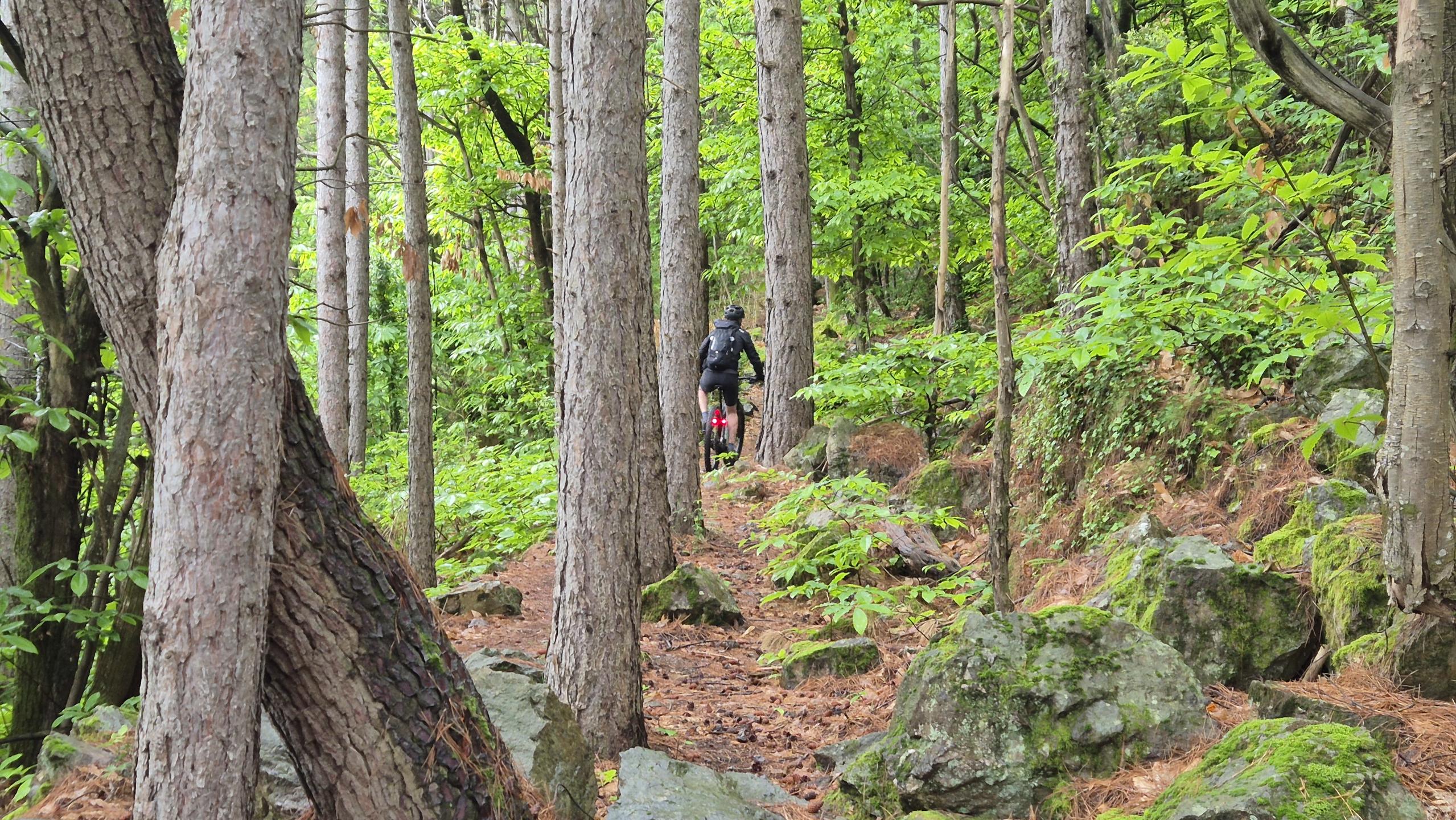 Photo circuit VTT