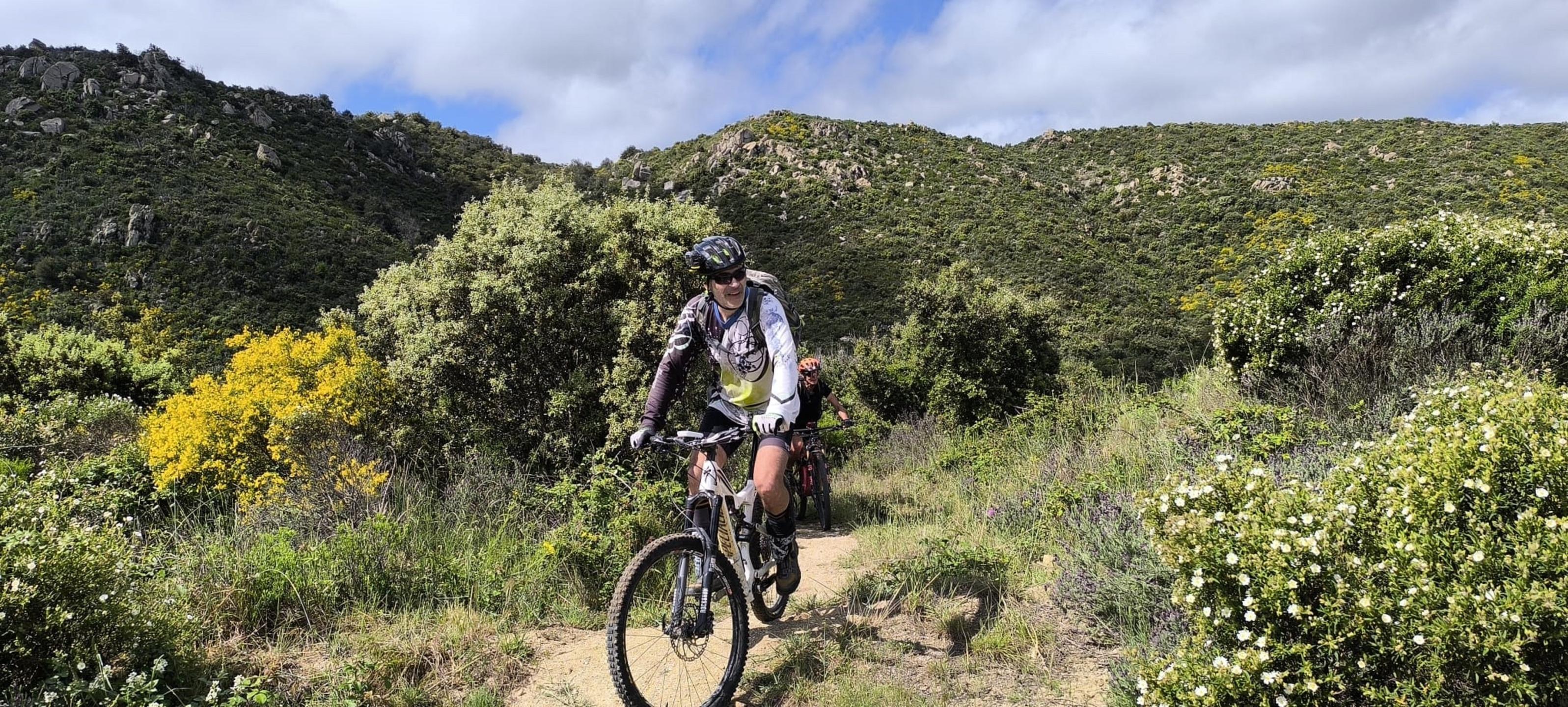 Photo circuit VTT