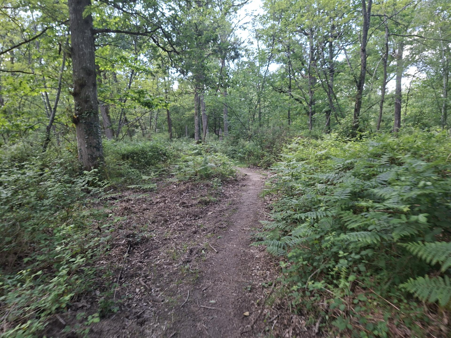 Photo circuit VTT