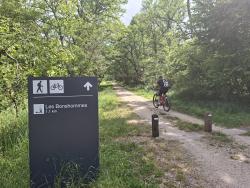 Vers l'étang des Bonshommes