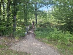 Passerelle en bois, puis portillon