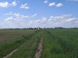 Vers Saint Dyé de la Loire