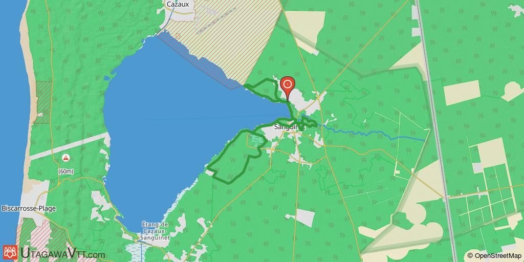 Un trèfle dans les Landes