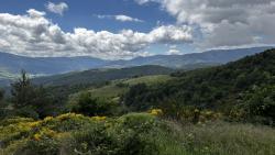 VTT-47208