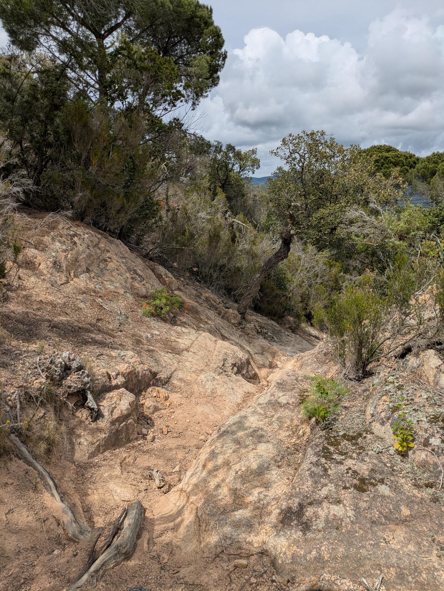 Photo circuit VTT
