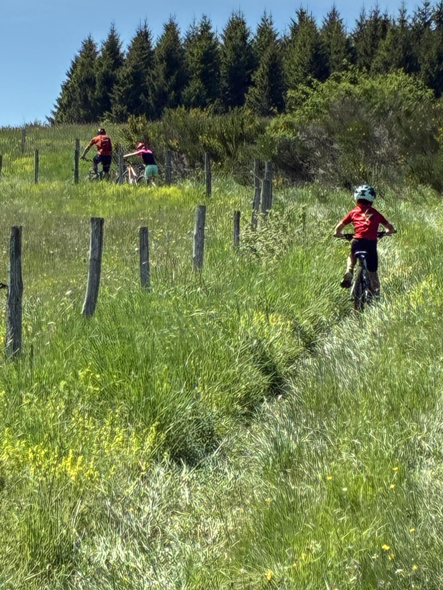Photo circuit VTT