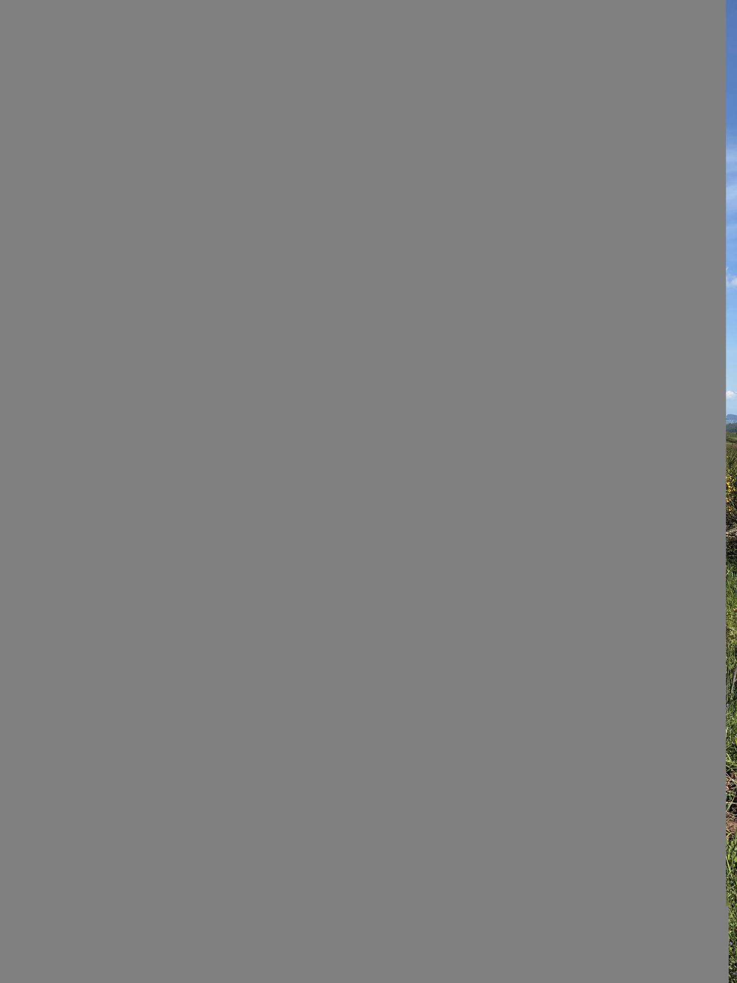 Photo circuit VTT