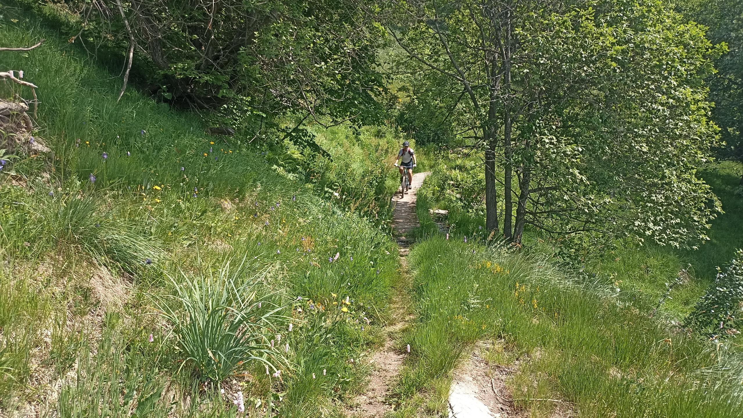 Photo circuit VTT