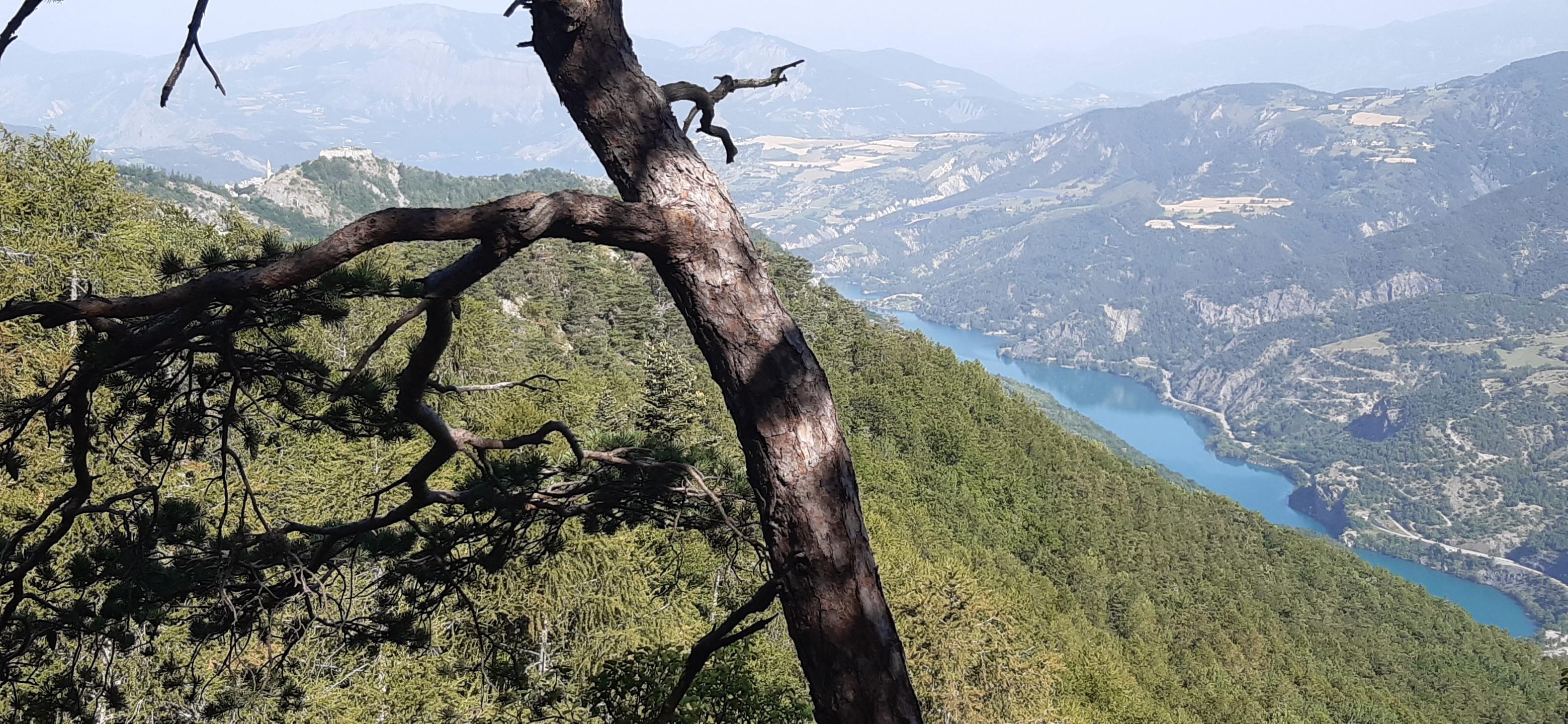 Photo circuit VTT