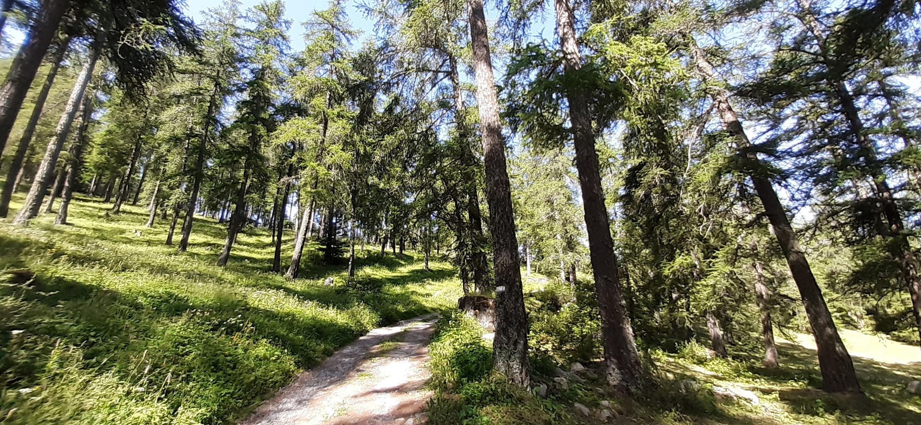 Photo circuit VTT