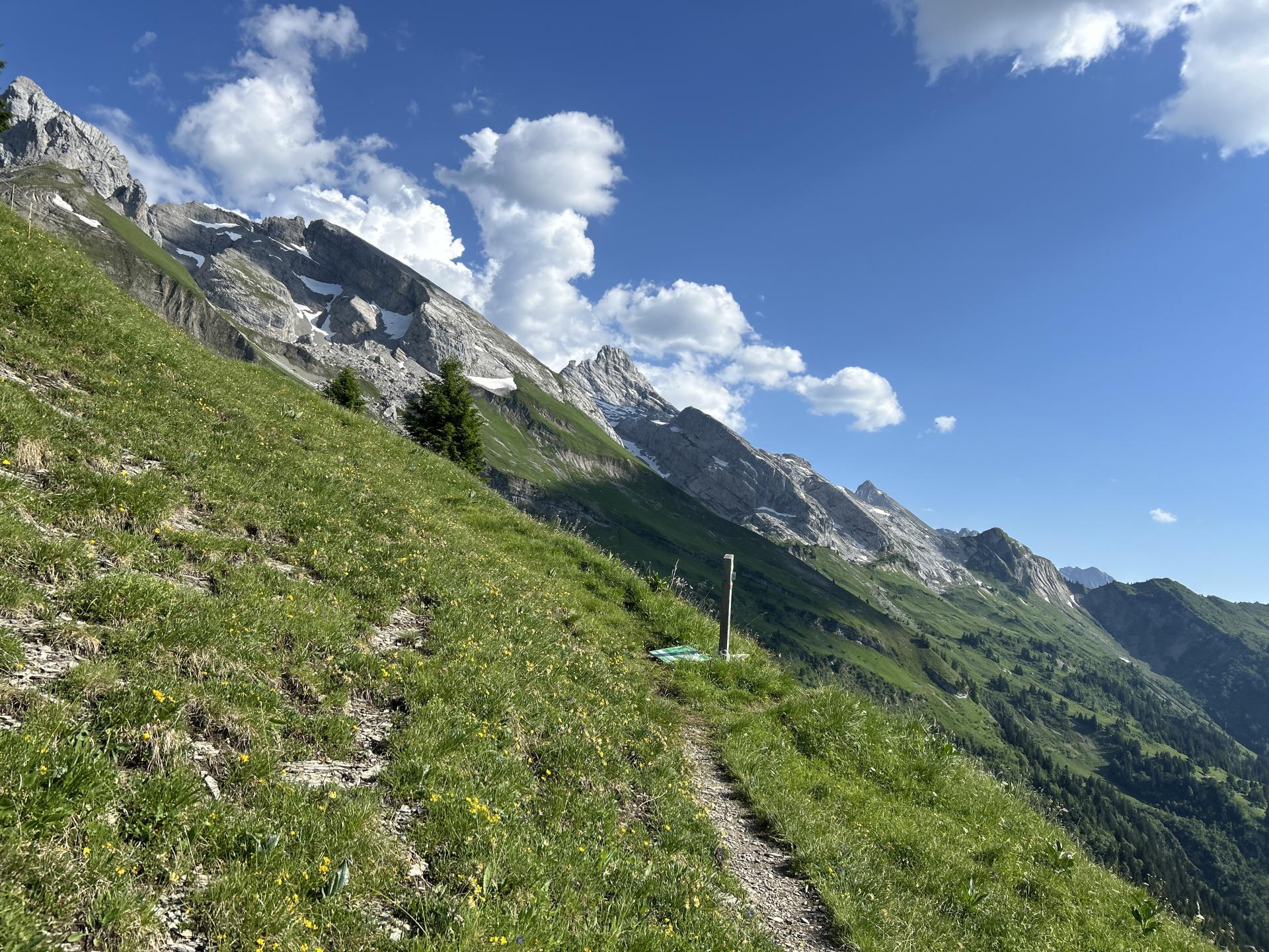 Photo circuit VTT