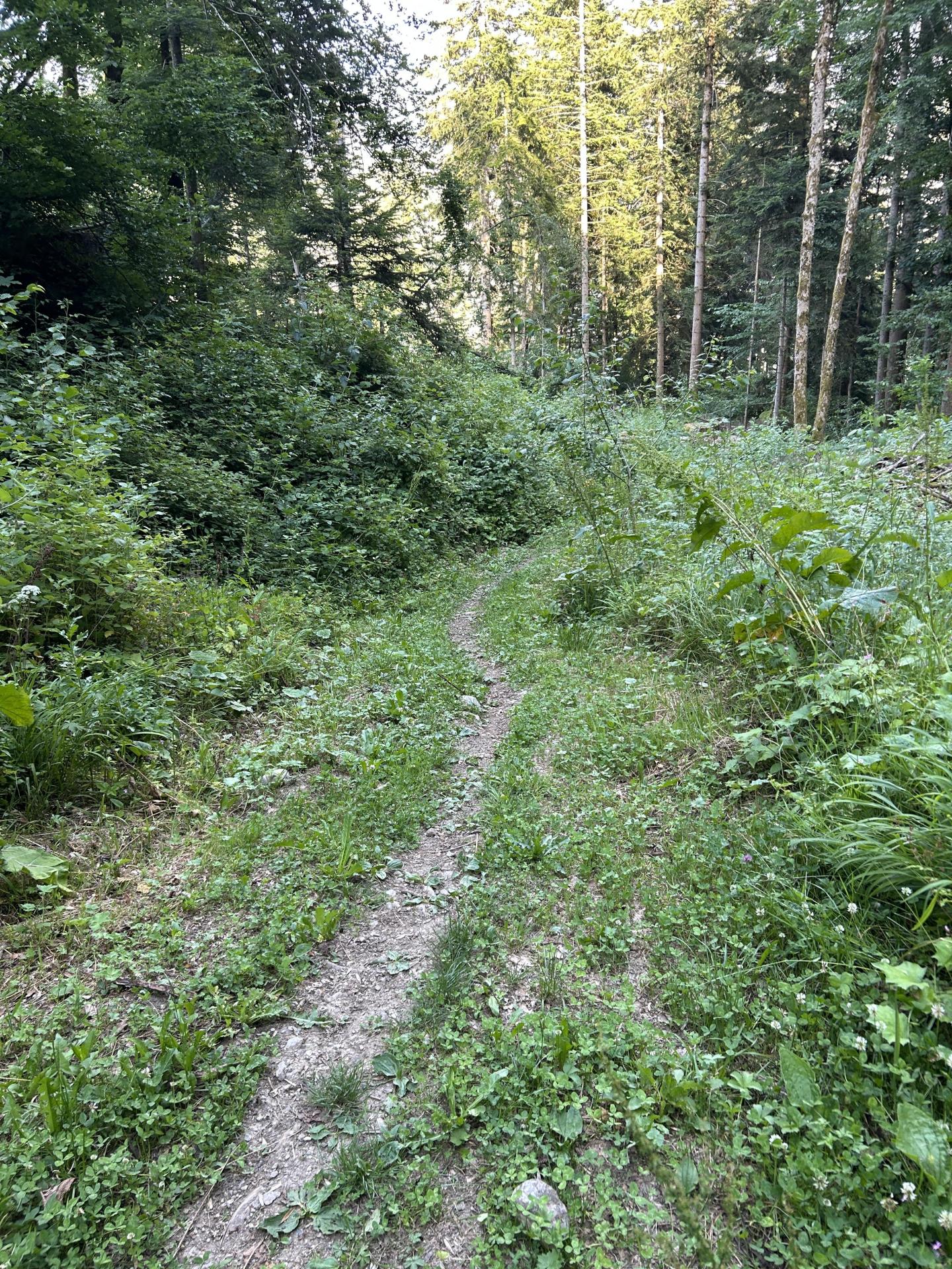 Photo circuit VTT