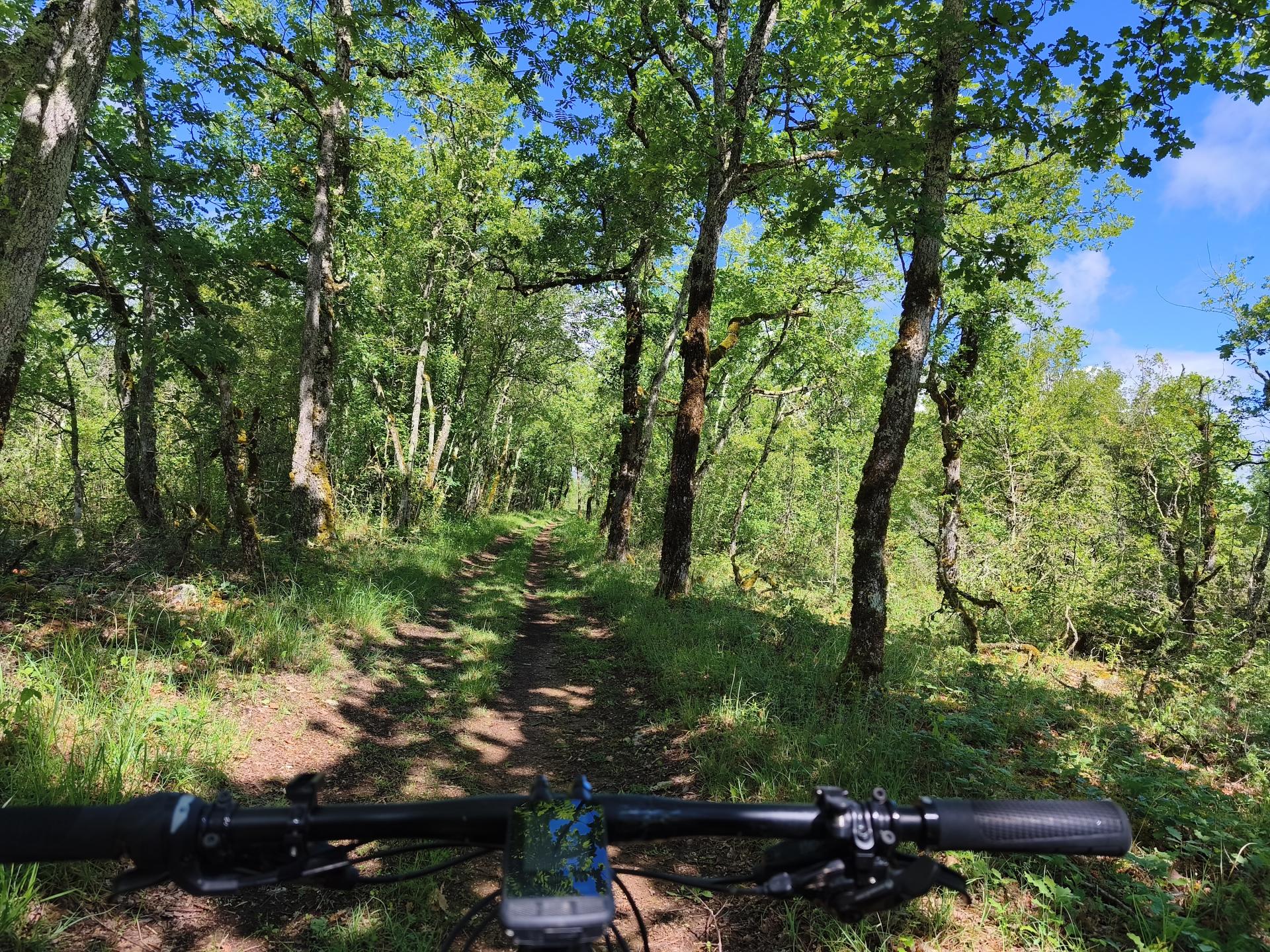 Photo circuit VTT