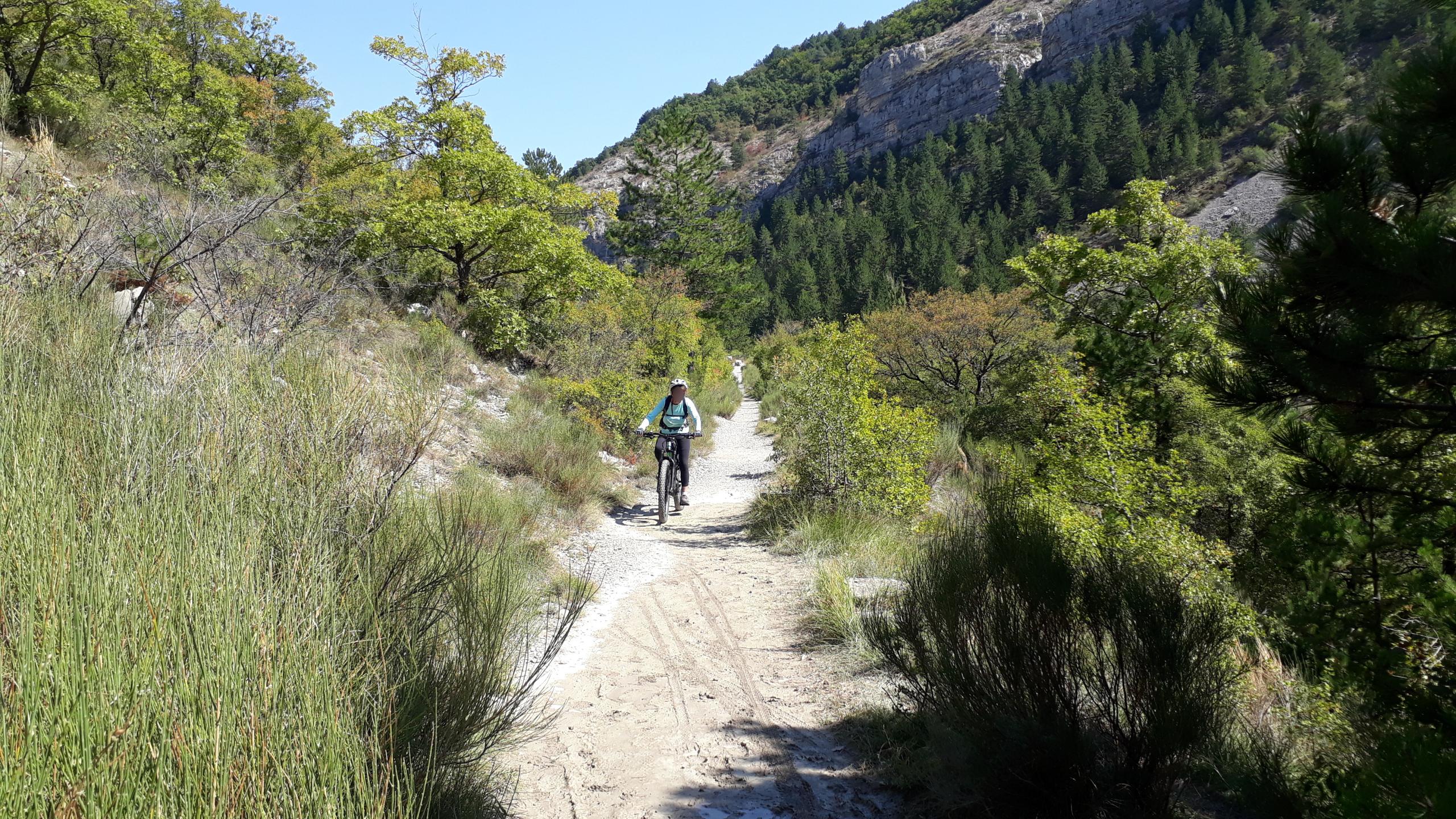 Photo circuit VTT