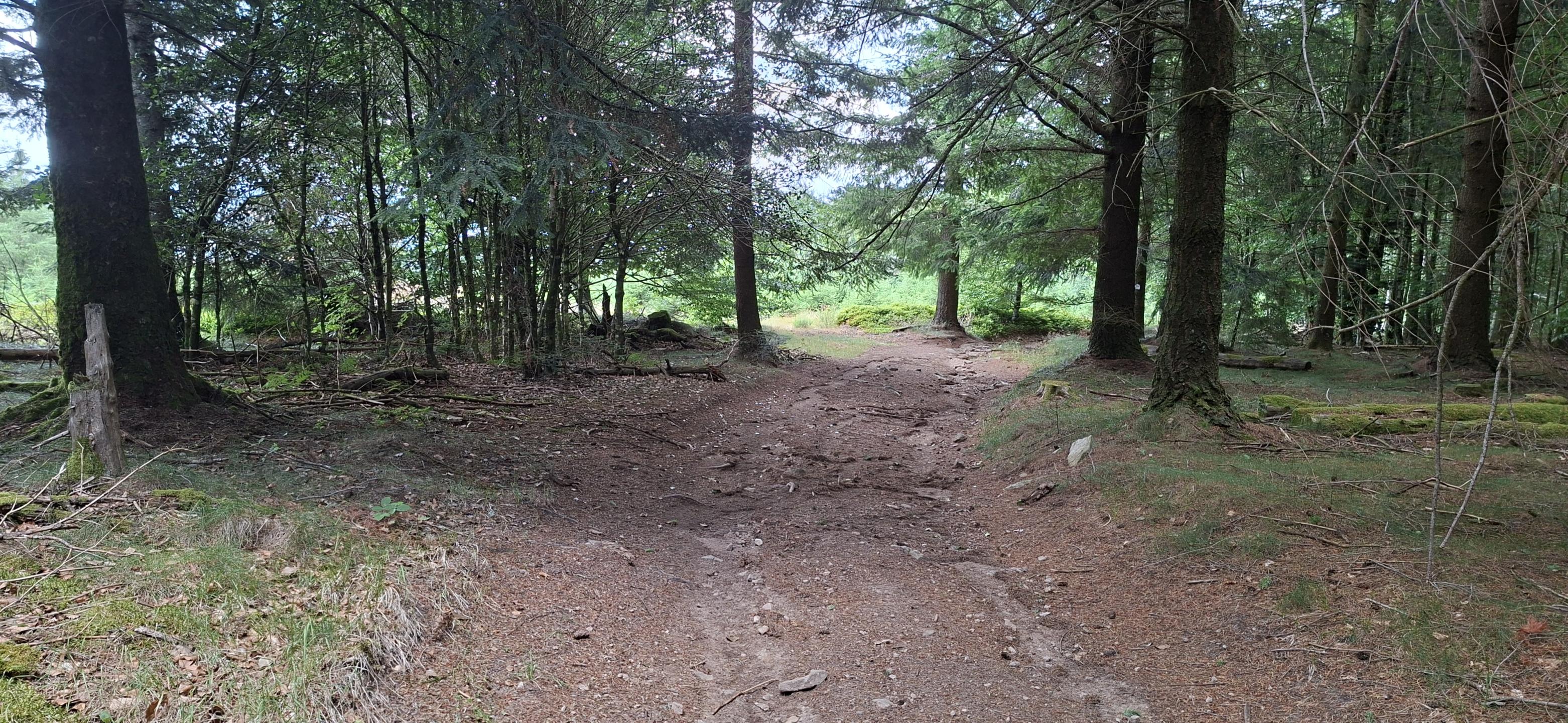 Photo circuit VTT