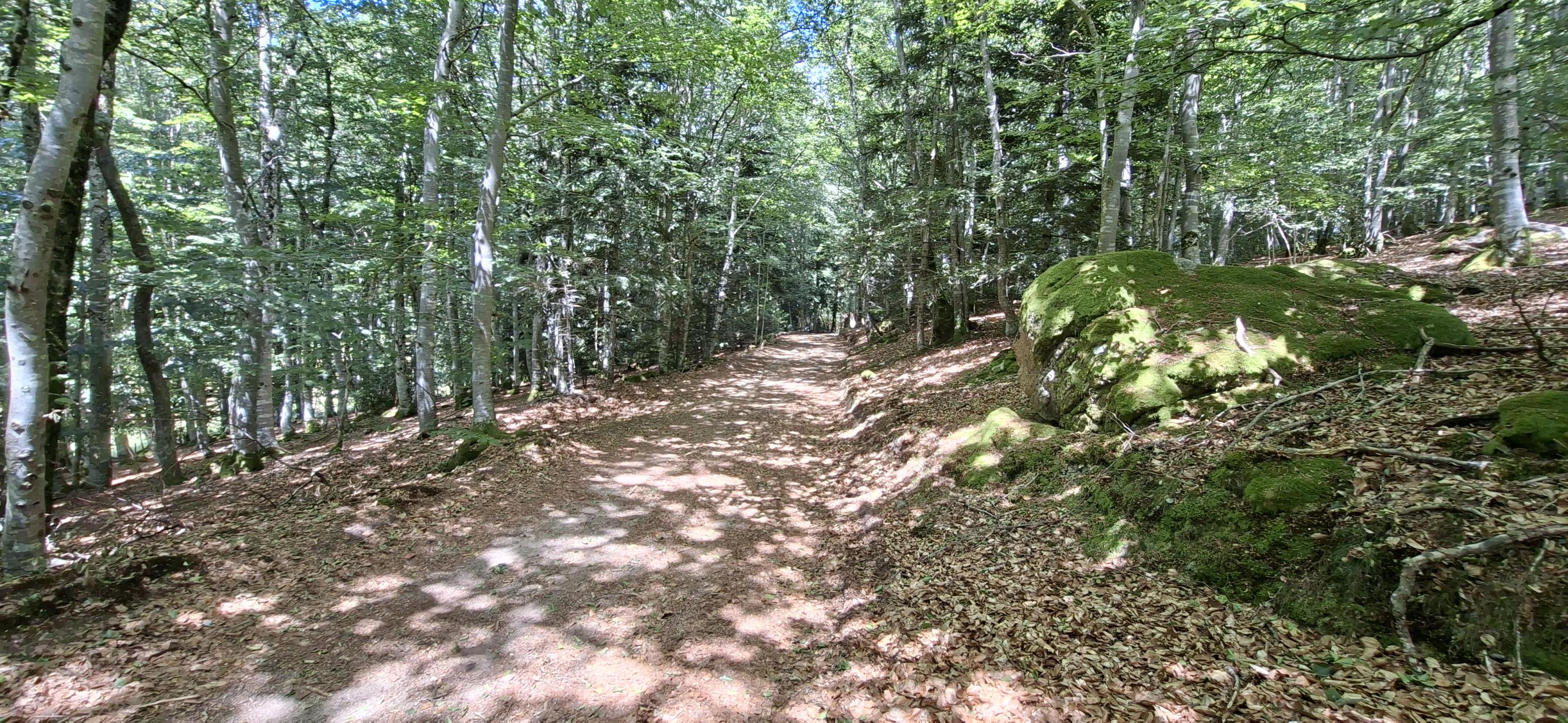 Photo circuit VTT