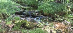 Ruisseau Le Sapey