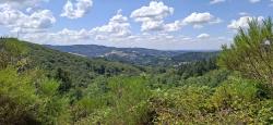 Paysage de moyenne montagne