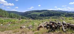 Paysage de moyenne montagne