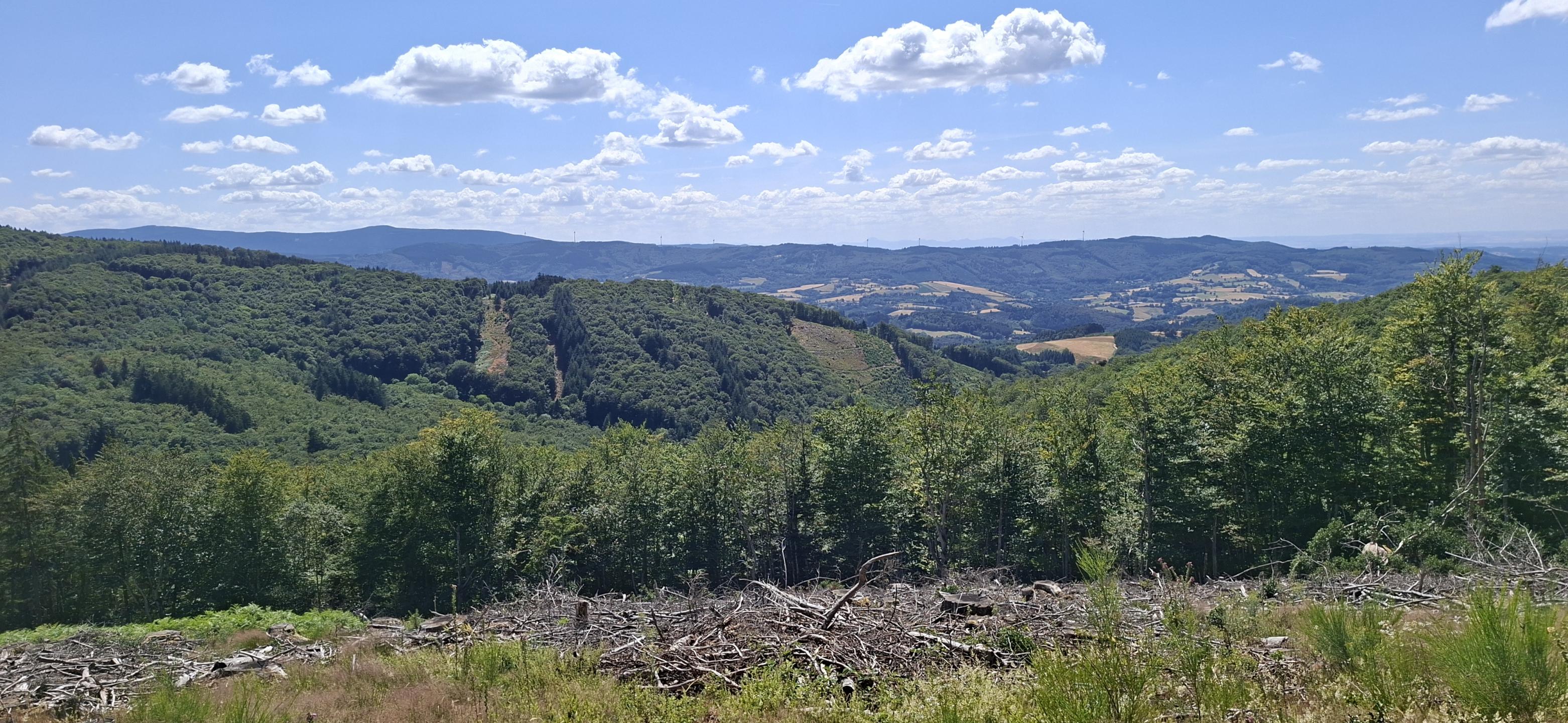 Photo circuit VTT