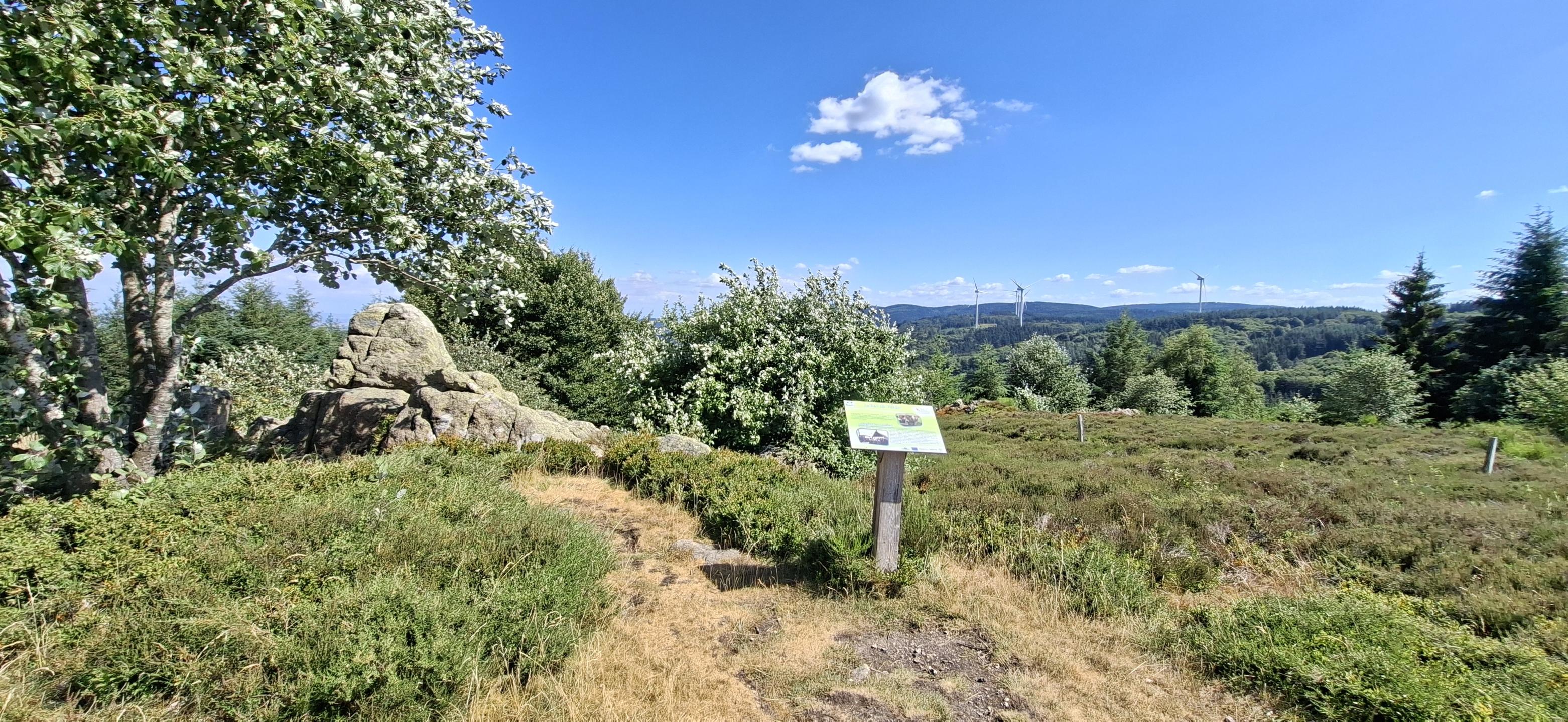 Photo circuit VTT
