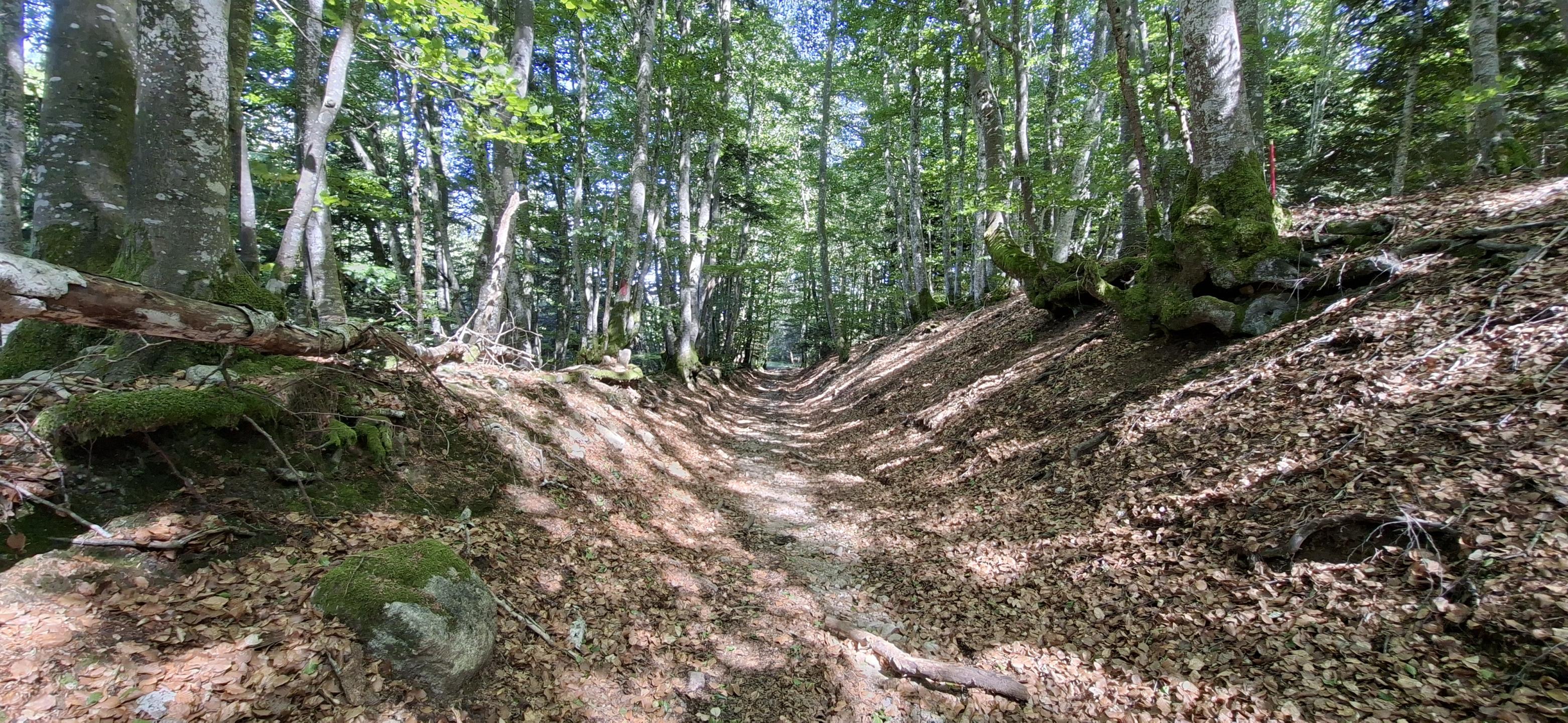 Photo circuit VTT