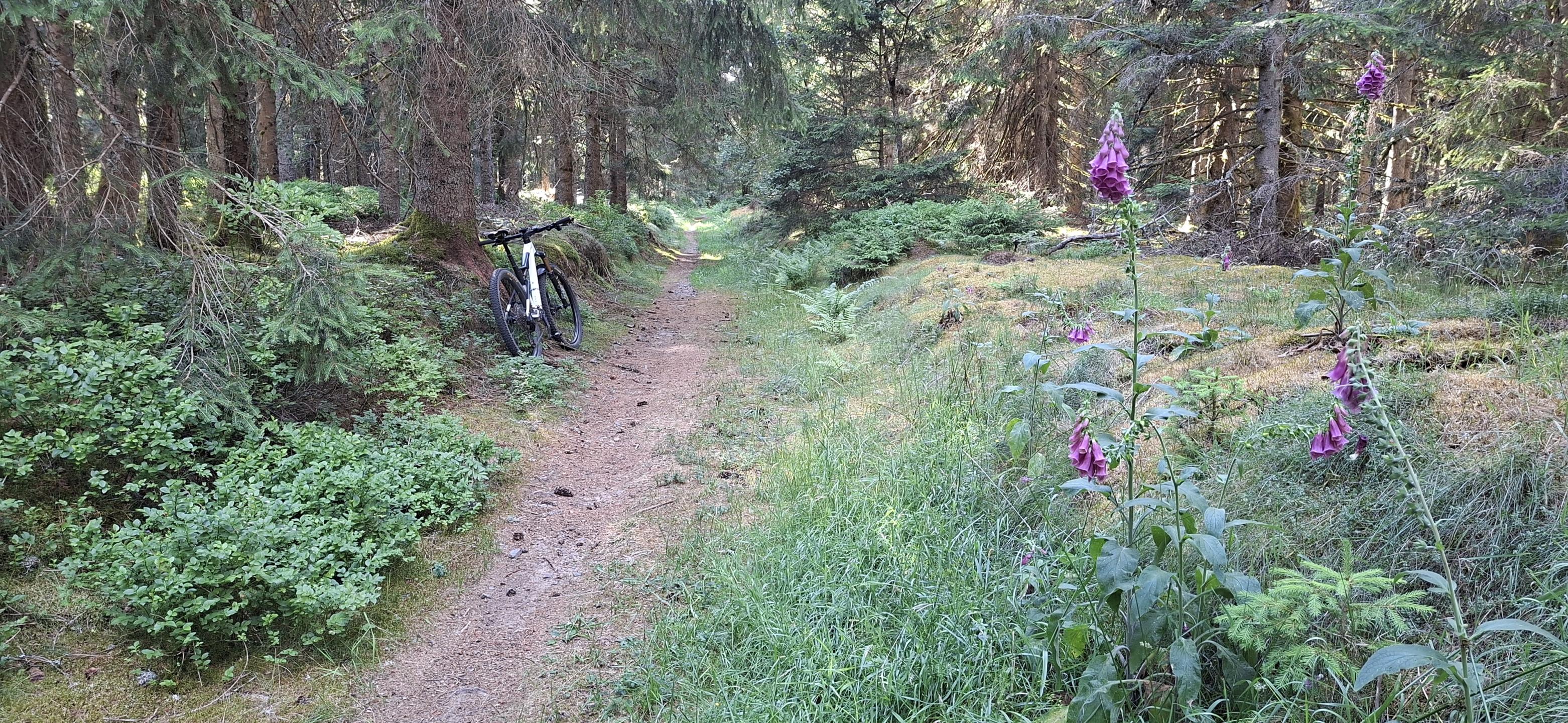 Photo circuit VTT