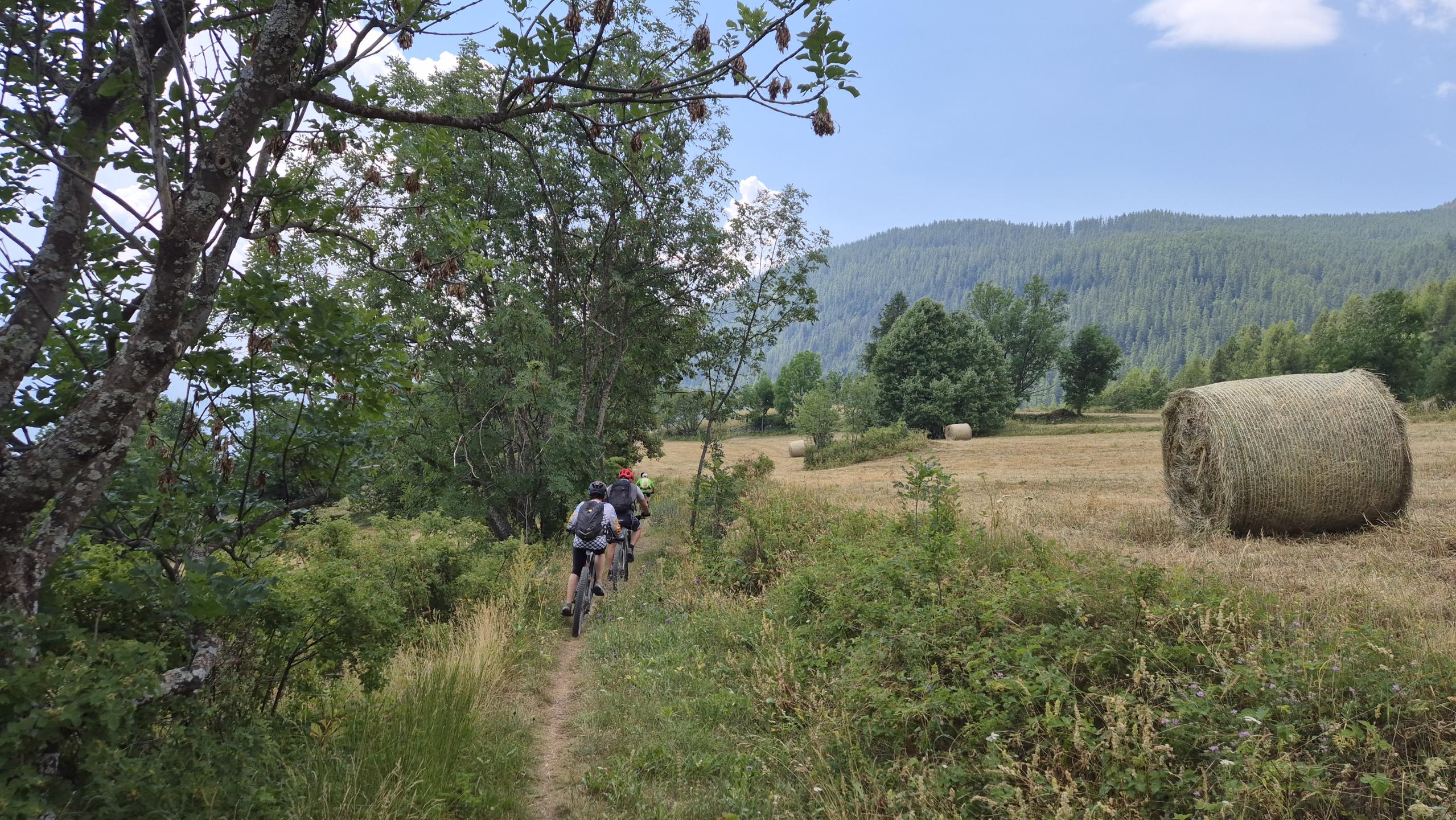 Photo circuit VTT