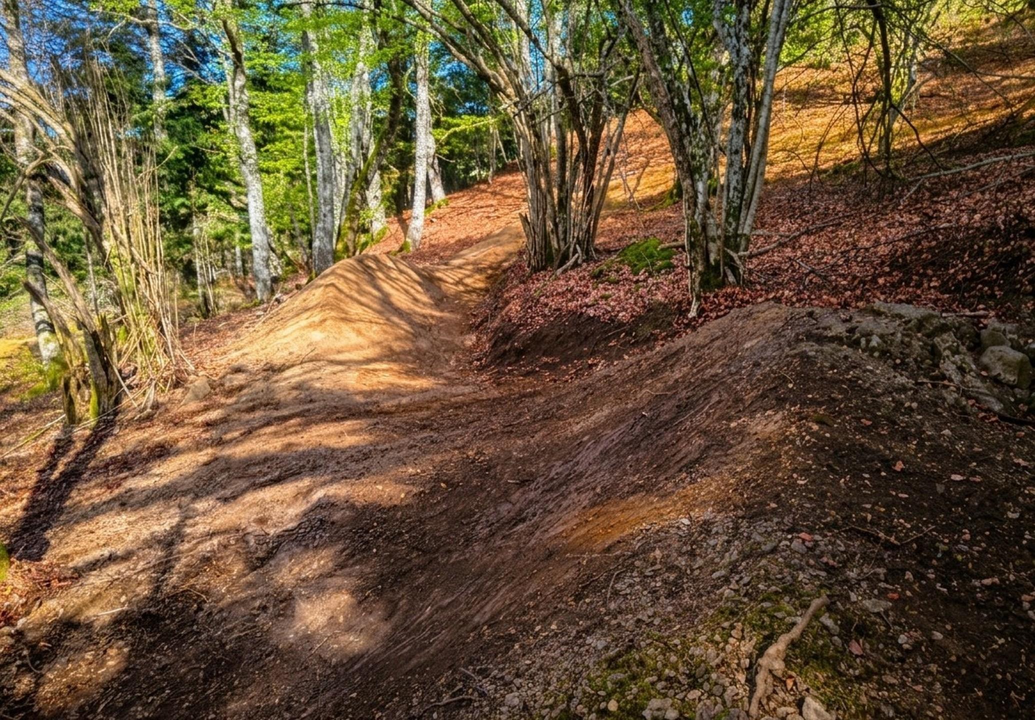 Le Mourtis - PCW : Wood's Lines