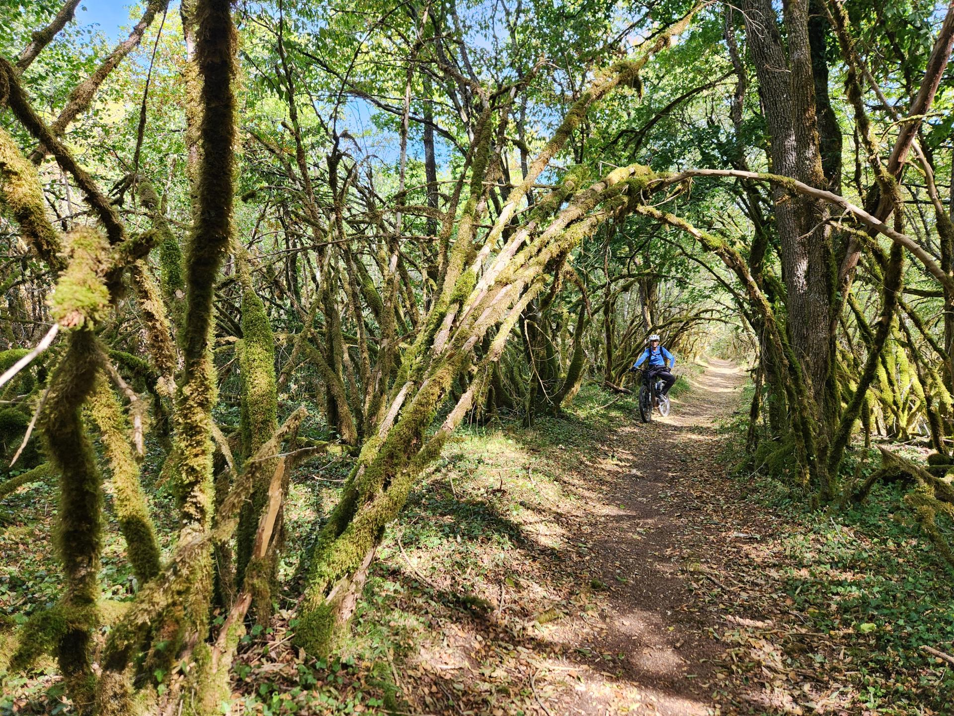 Photo circuit VTT