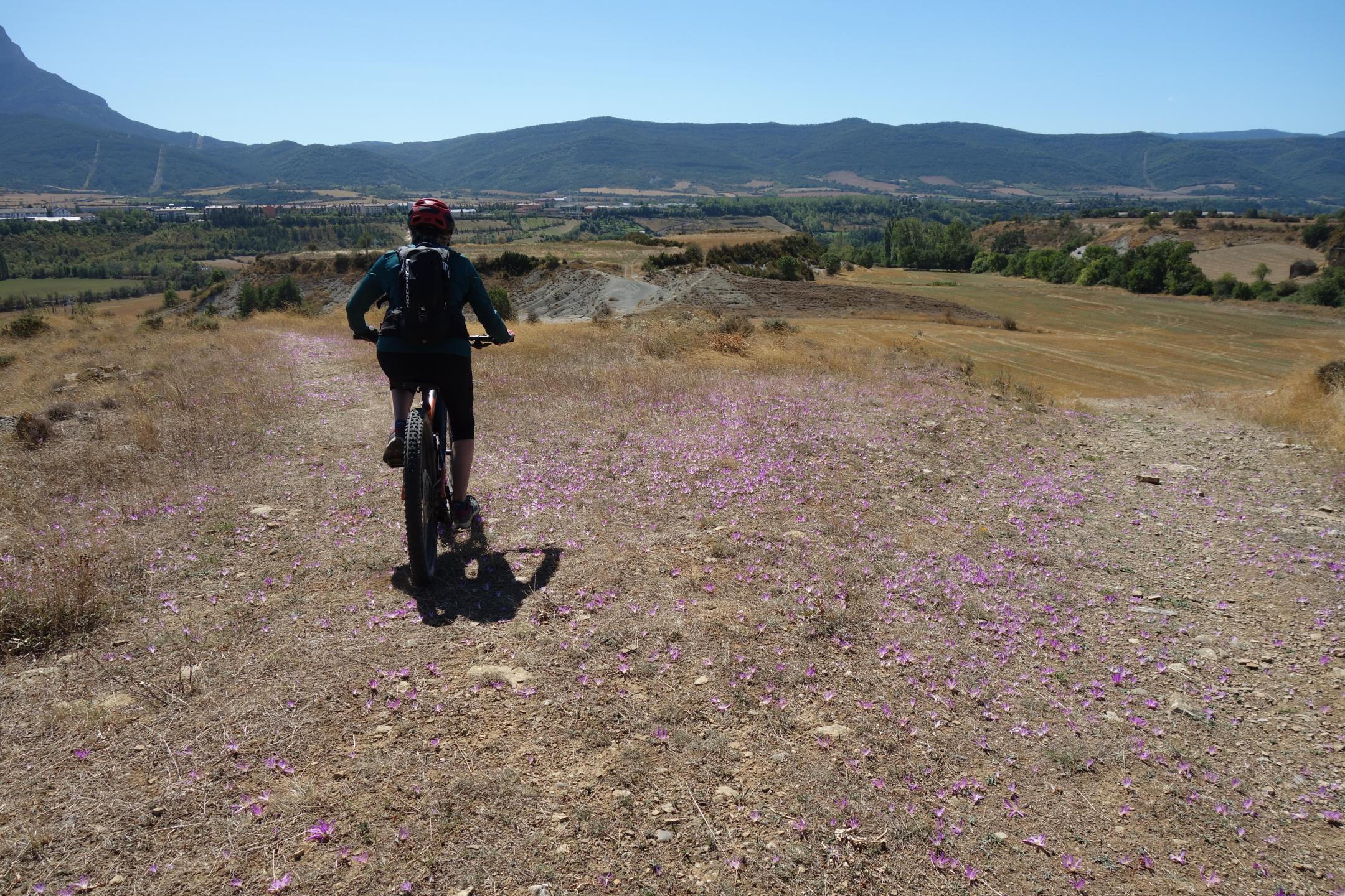 Photo circuit VTT