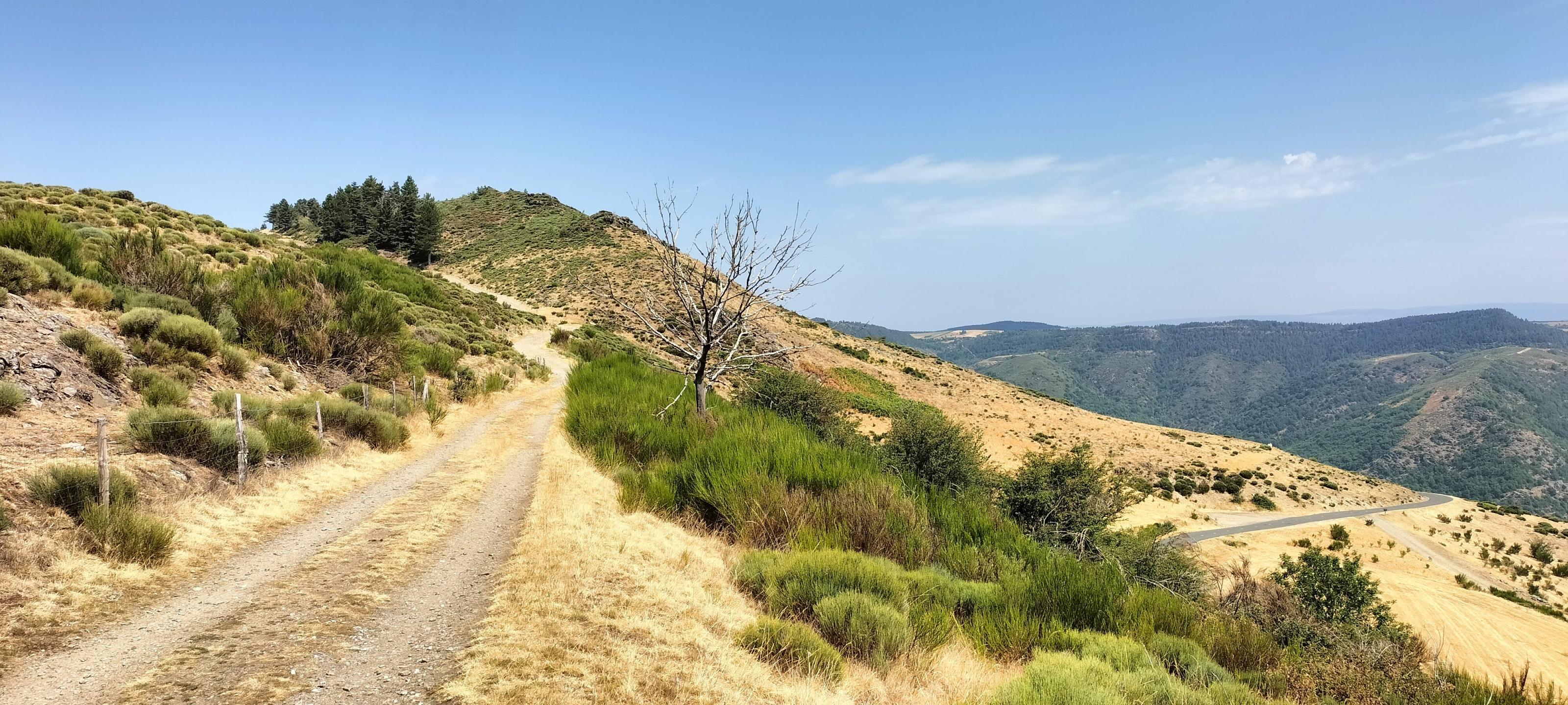 Photo circuit VTT