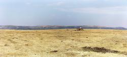 Vue sur la Causses