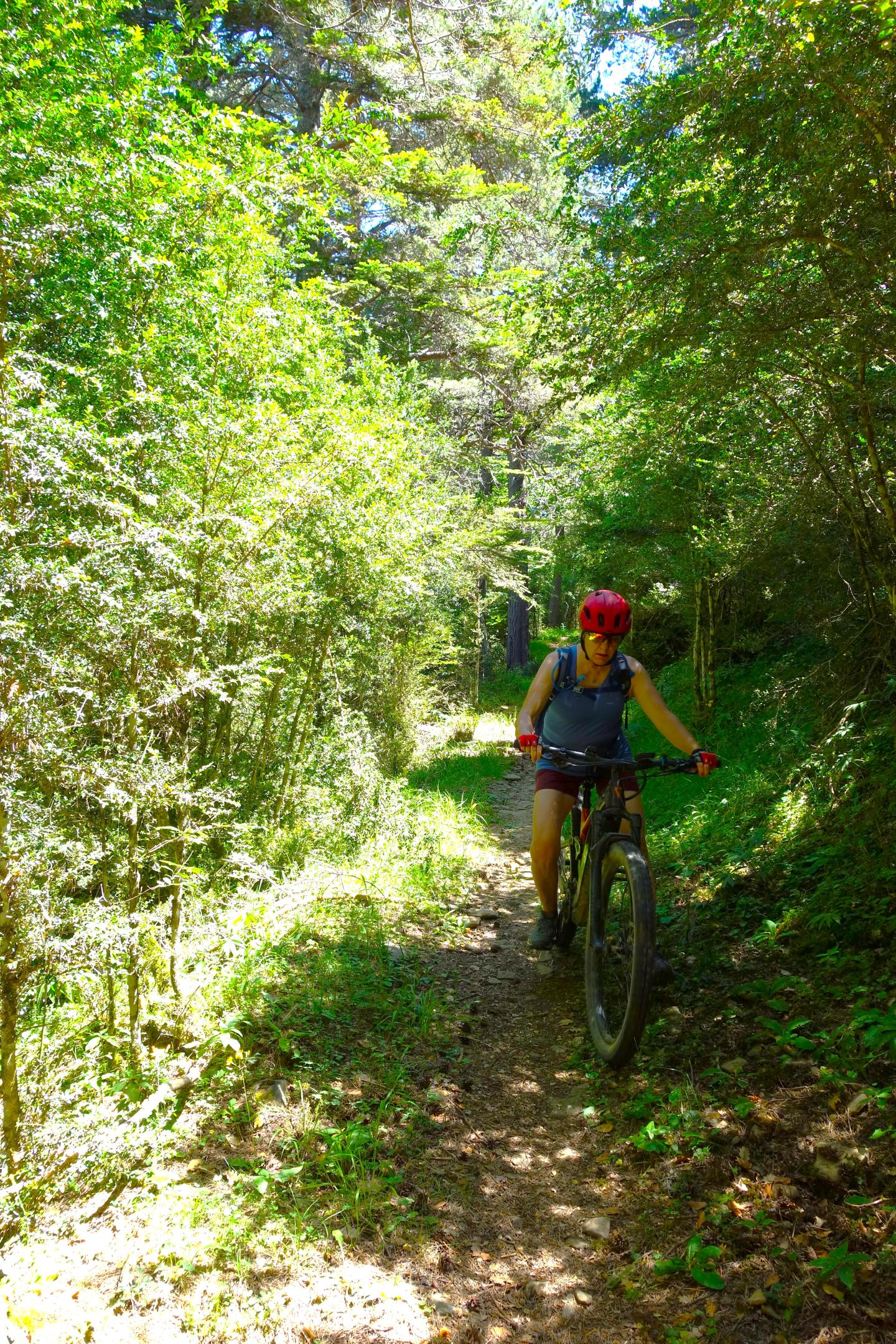 Photo circuit VTT