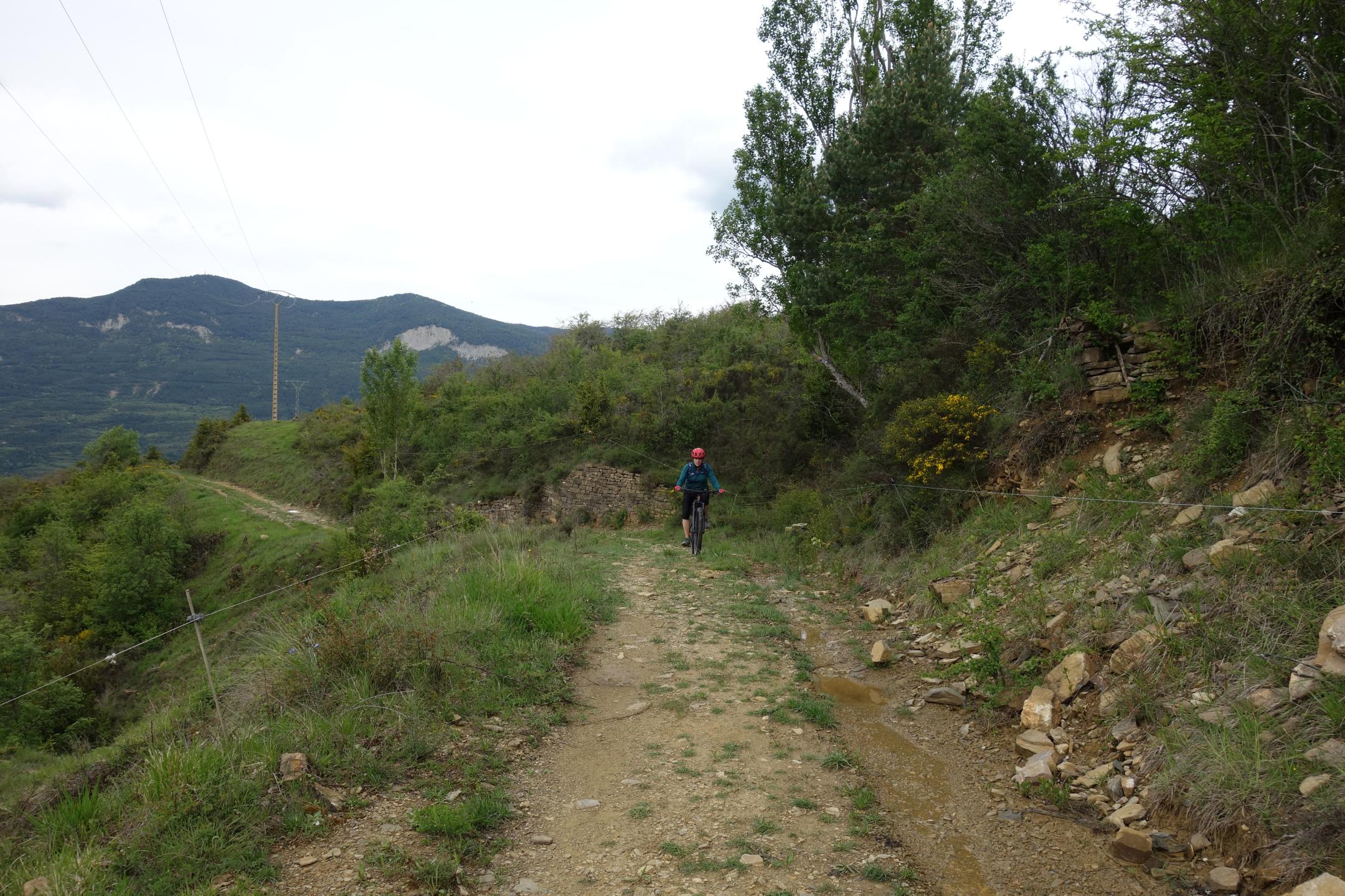 Photo circuit VTT