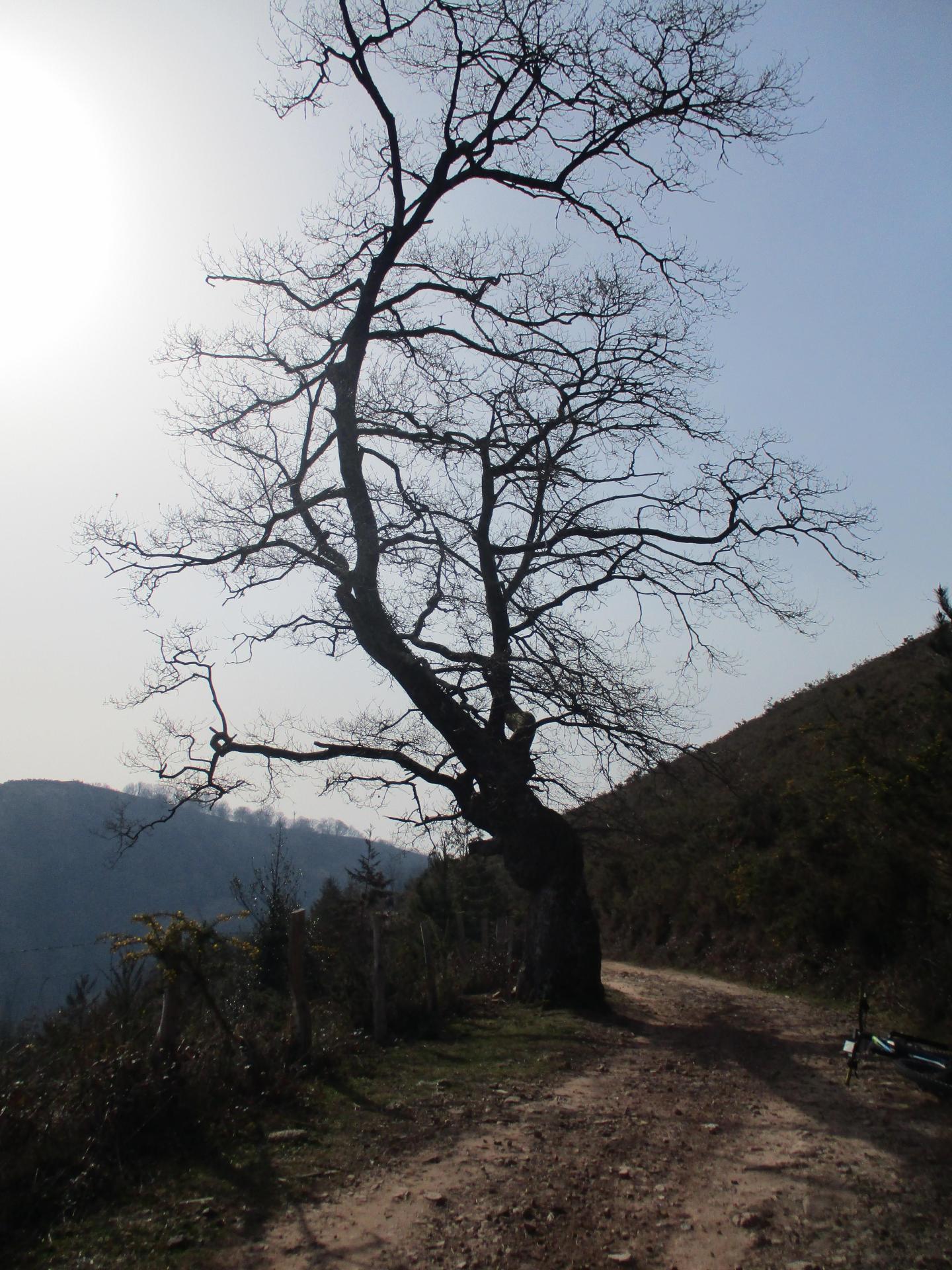 Photo circuit VTT