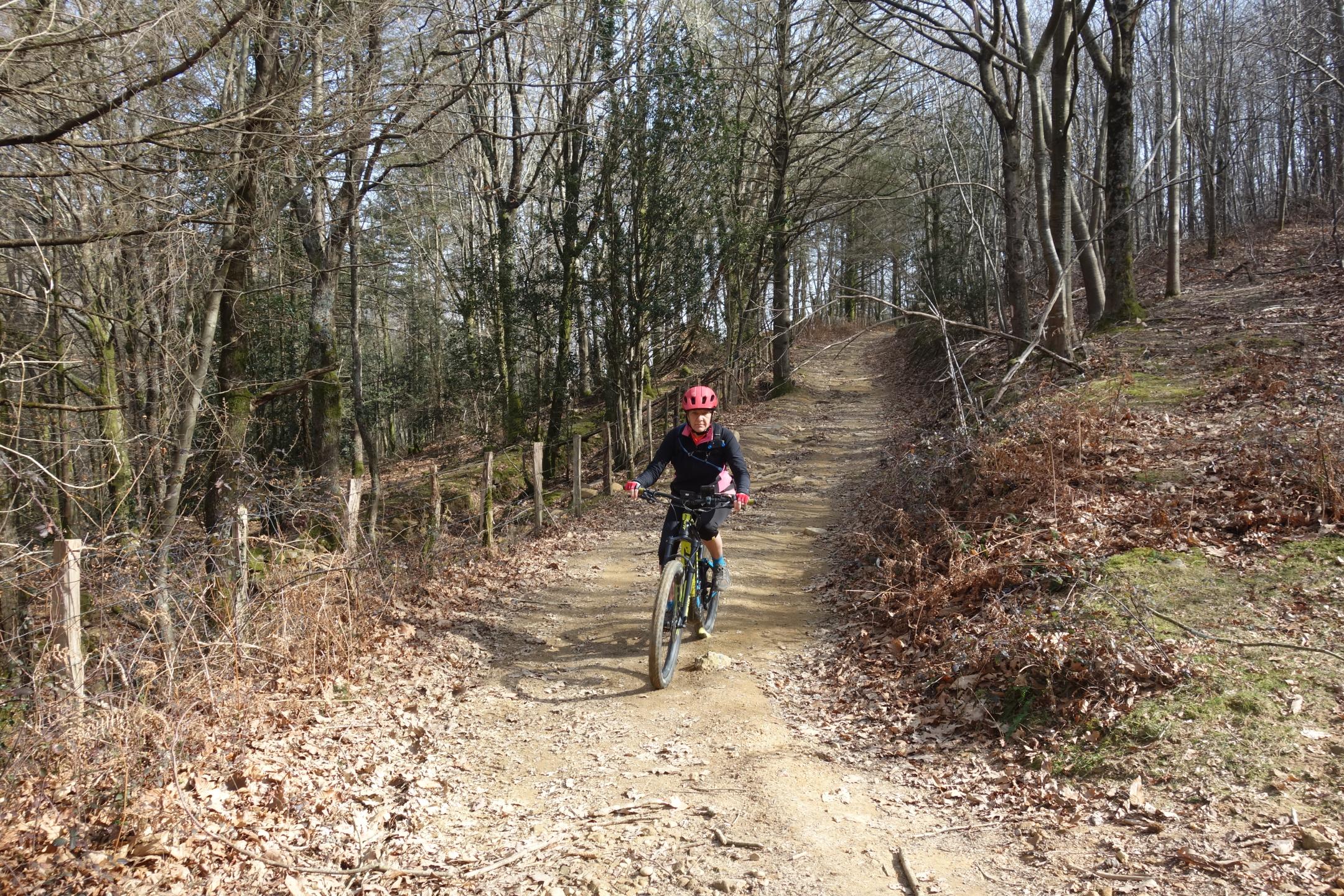 Photo circuit VTT