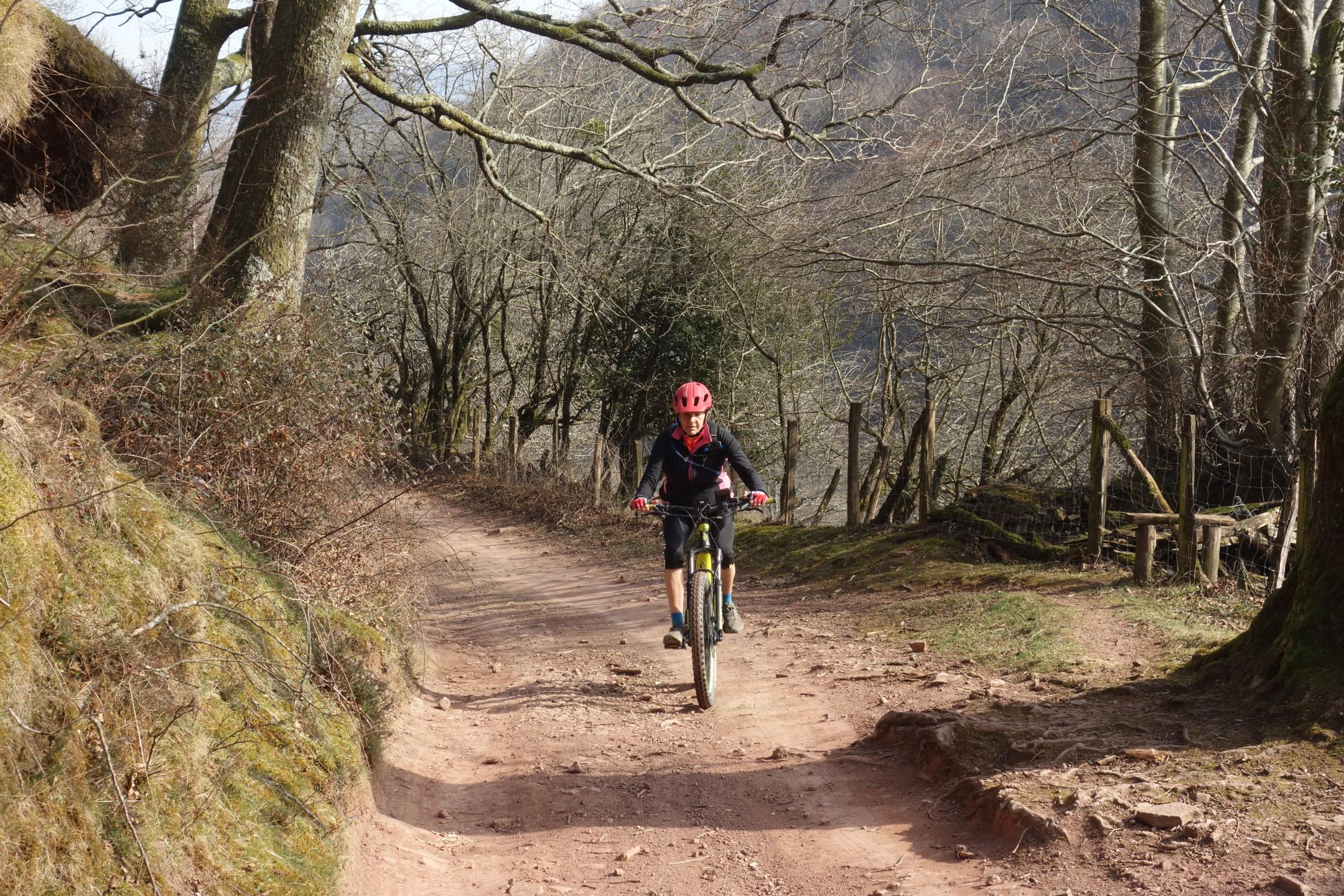 Photo circuit VTT