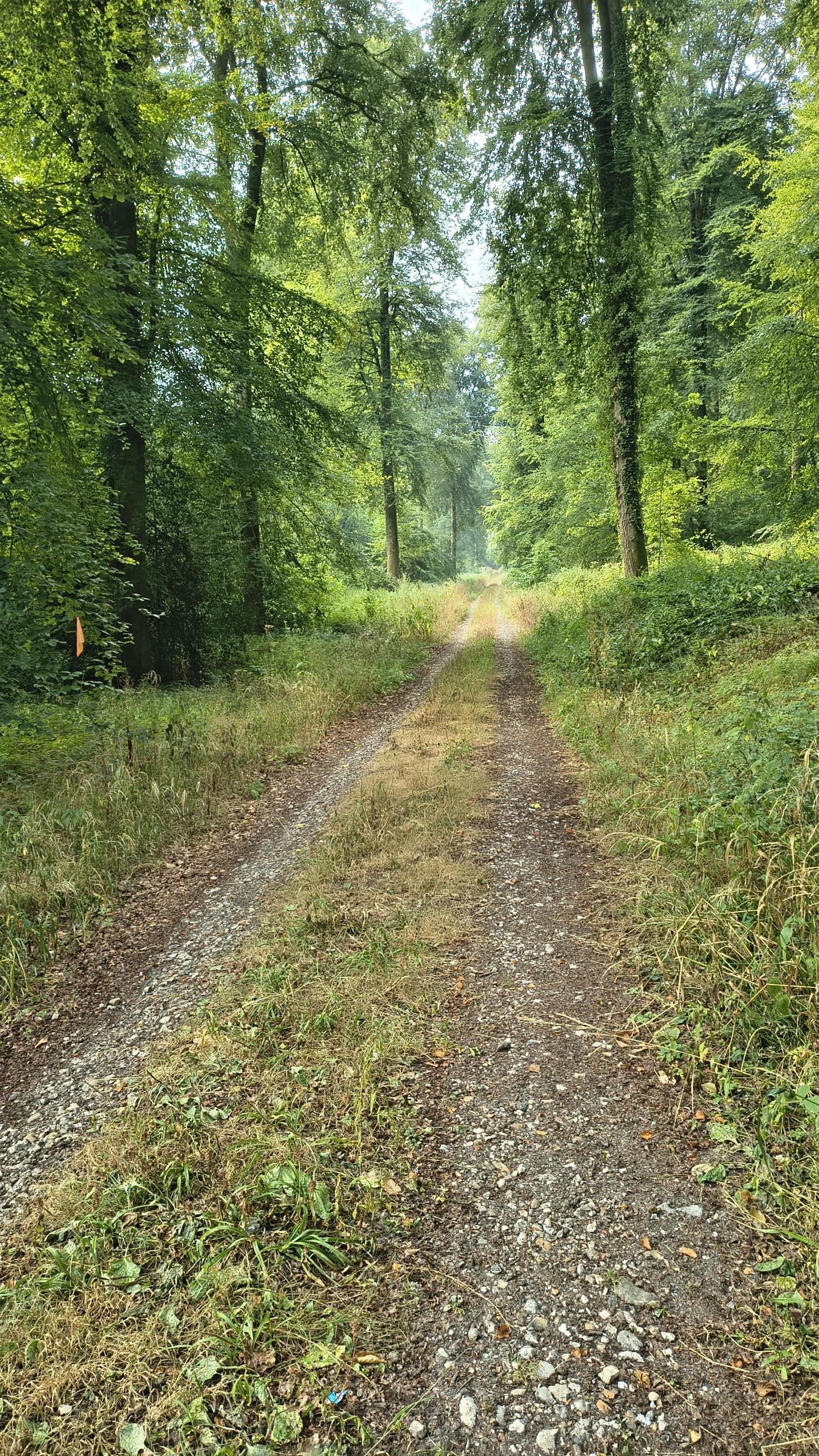 Photo circuit VTT