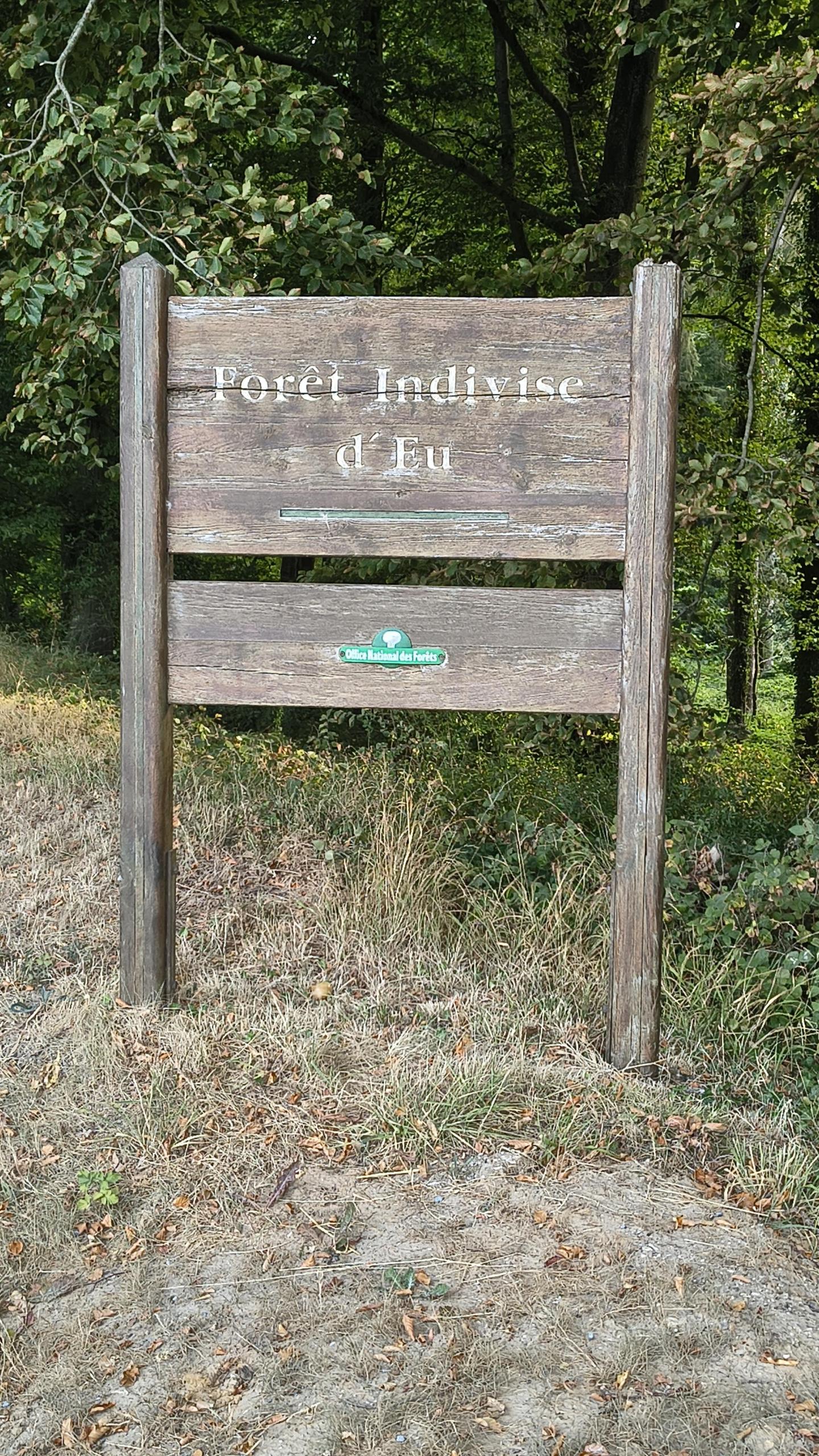Photo circuit VTT