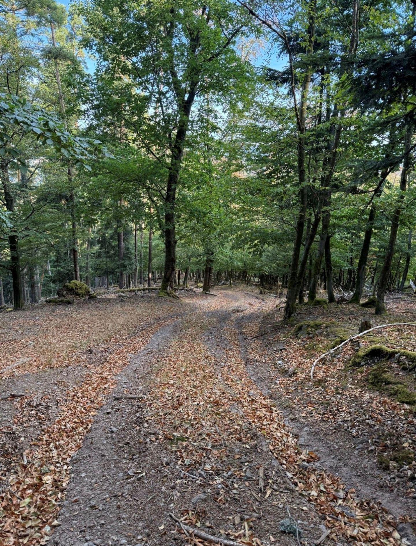 Photo circuit VTT